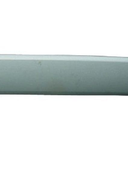 MI1904101 Tailgate Molding