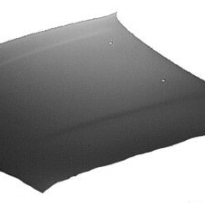 TO1230102V Hood Panel