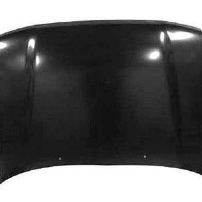 TO1230129C Hood Panel