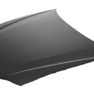 TO1230169C Hood Panel TO1230169C Hood Panel