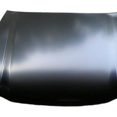 TO1230175 Hood Panel
