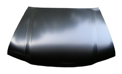 TO1230175 Hood Panel