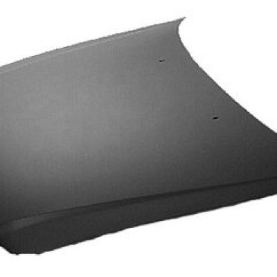 TO1230181 Hood Panel