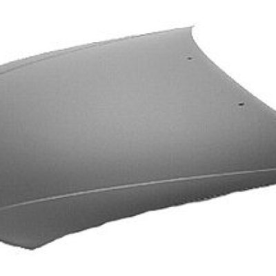 TO1230183C Hood Panel