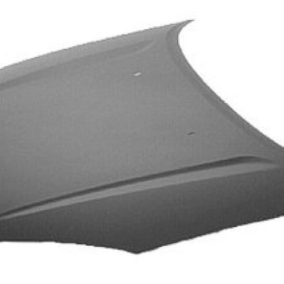 TO1230188C Hood Panel