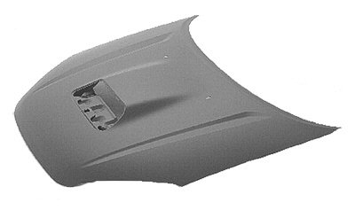 TO1230191C Hood Panel