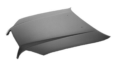 TO1230193C Hood Panel