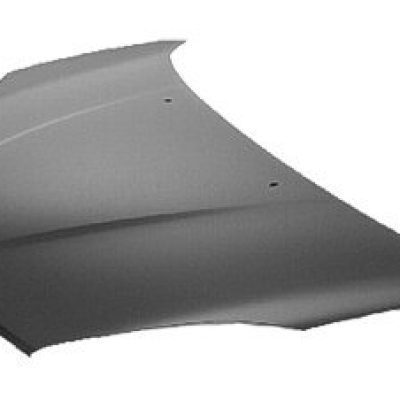 TO1230194C Hood Panel
