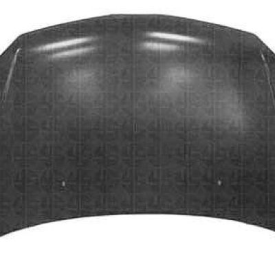 TO1230203 Hood Panel