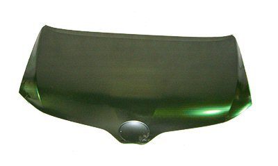 TO1230214C Hood Panel