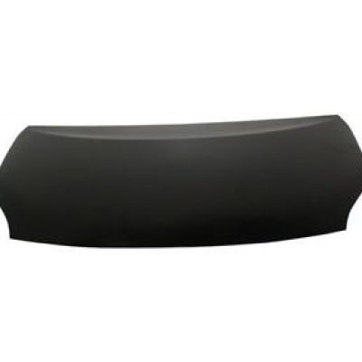 TO1230216C Hood Panel