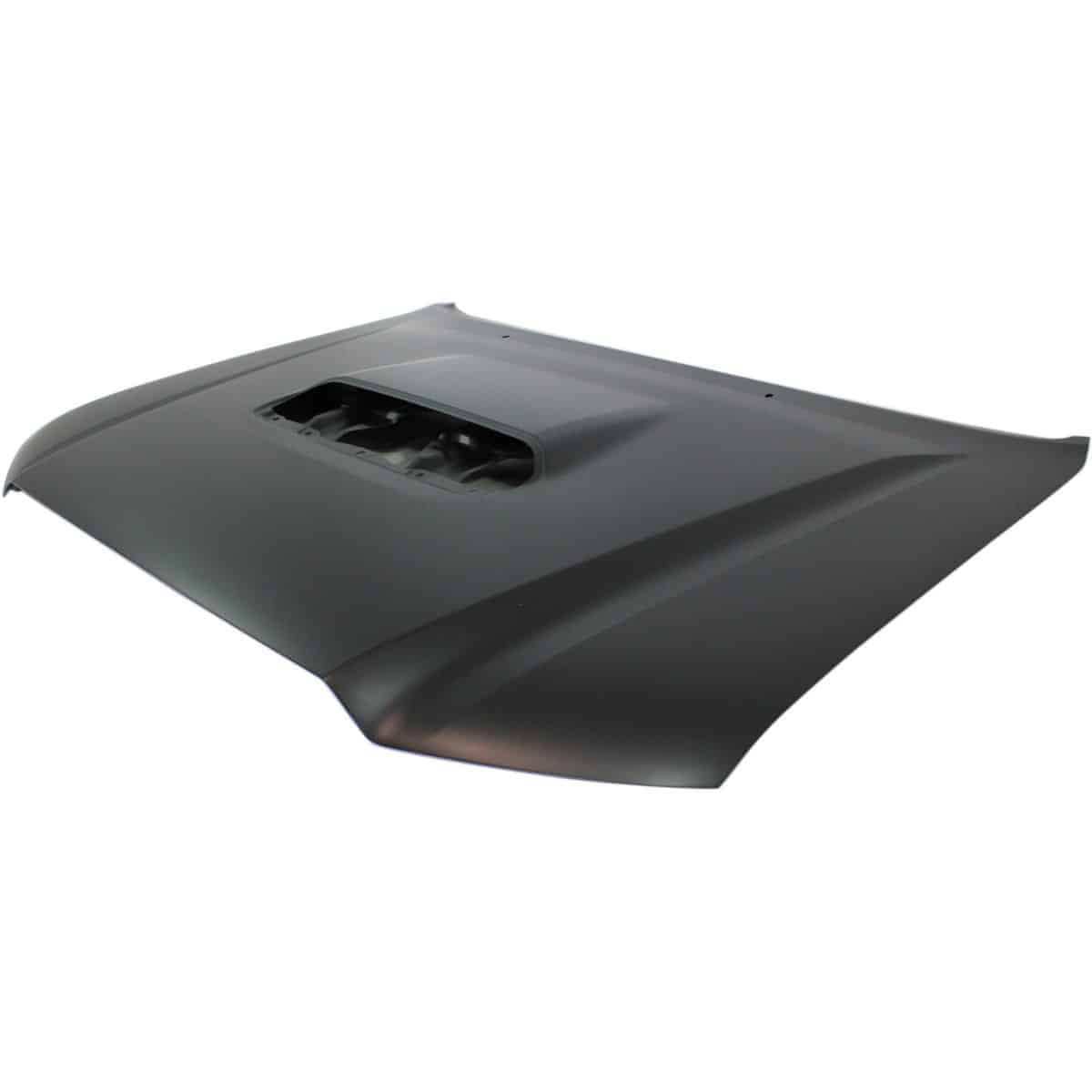 TO1230223C Hood Panel