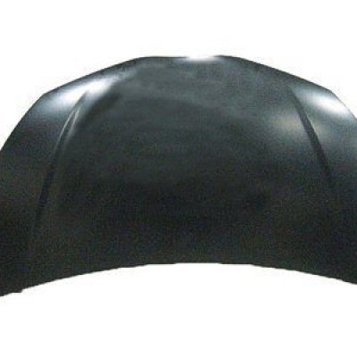 TO1230227C Hood Panel