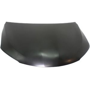 TO1230234C Hood Panel
