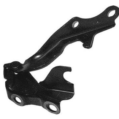 TO1236131 Driver Side Hood Hinge