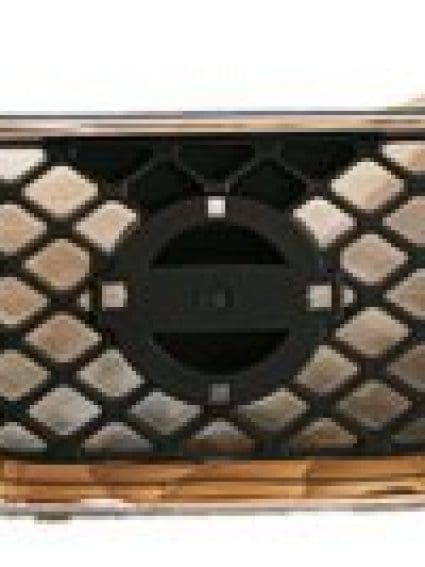 NI1200217C Grille Main