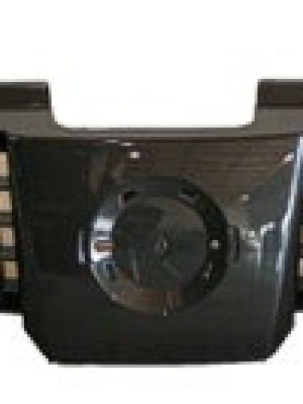 NI1200219 Grille Main