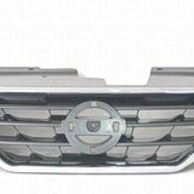 NI1200245 Grille Main