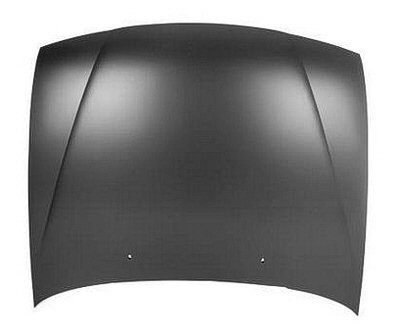 NI1230146V Hood NI1230146V Hood