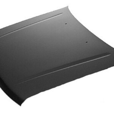 NI1230148C Hood