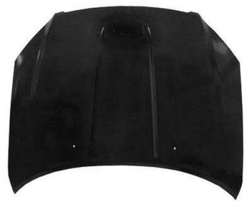 NI1230171C Hood