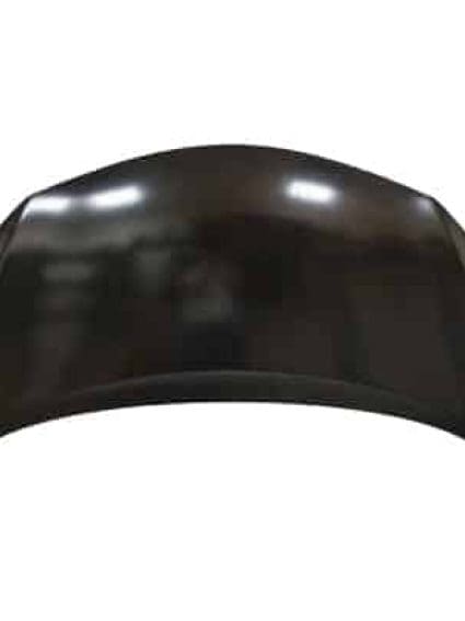NI1230196C Hood