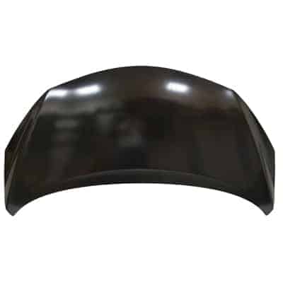 NI1230196C Hood NI1230196C Hood