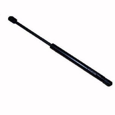 NI1237101 Hood Lift