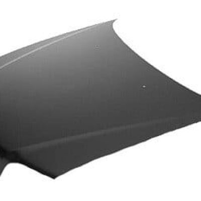 VO1230111 Body Panel Hood