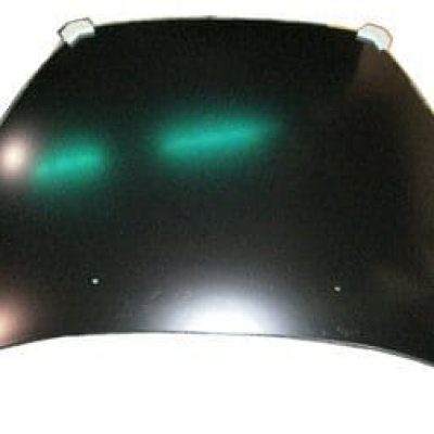 VO1230118C Hood