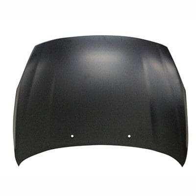 VO1230119C Hood VO1230119C Hood