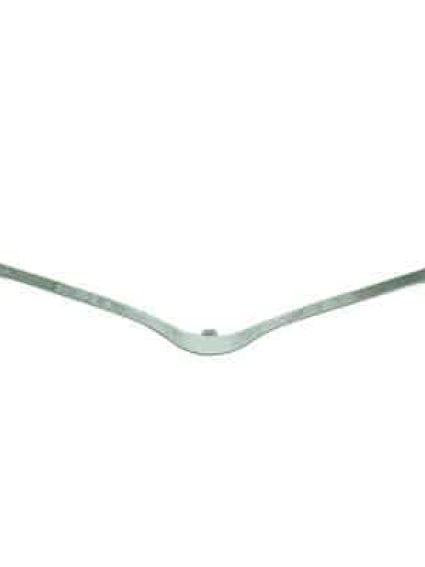 TO1216101 Front Lower Grille Molding
