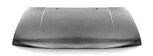 VW1230121 Hood Panel