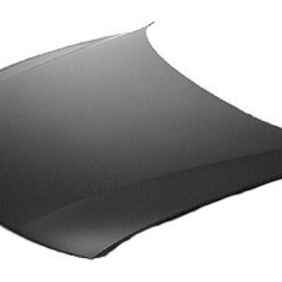 VW1230127 Hood Panel