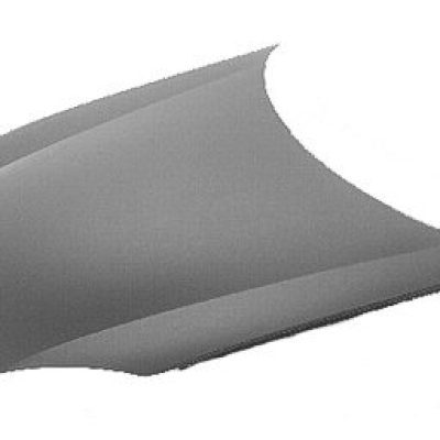 VW1230131C Hood Panel
