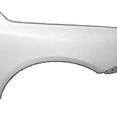 VW1241146 Passenger Side Fender
