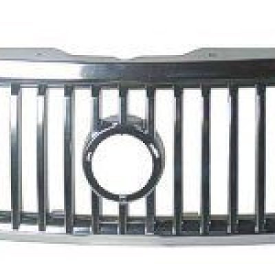 FO1200416 Grille Main