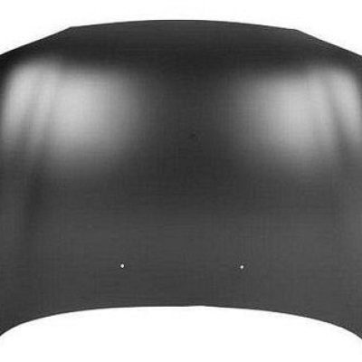 FO1230169C Body Panel Hood