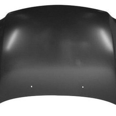 FO1230174C Hood