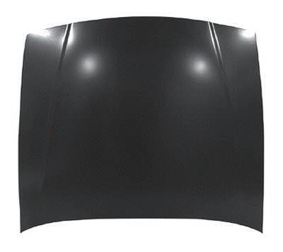 FO1230181C Body Panel Hood