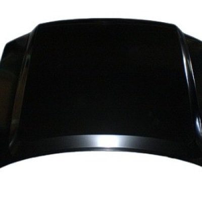 FO1230283C Body Panel Hood