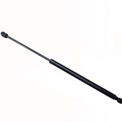 FO1237110 Hood Lift