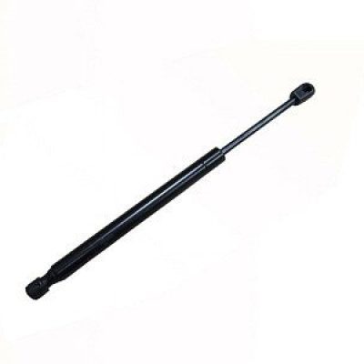 FO1237113 Hood Lift