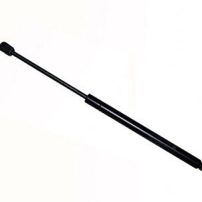 FO1237116 Hood Lift