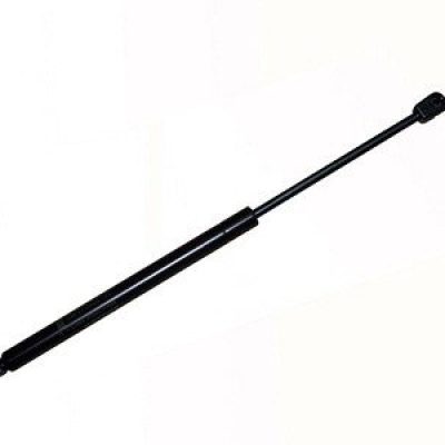 FO1237117 Hood Lift