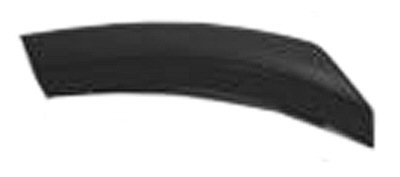 FO1290114 Driver Side Fender Molding