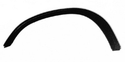 FO1290119 Driver Side Fender Molding