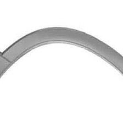 FO1291113 Passenger Side Fender Molding