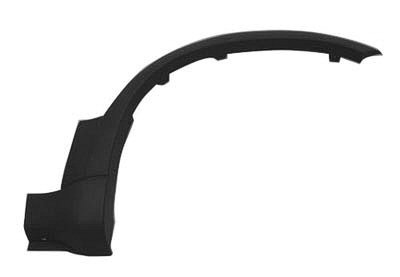 FO1291120 Passenger Side Fender Molding