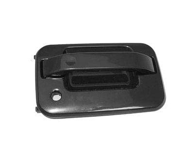 FO1311131 Exterior Door Handle